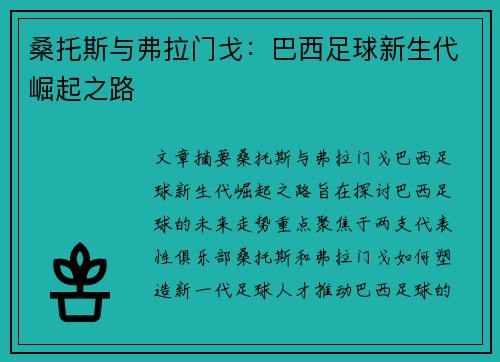 桑托斯与弗拉门戈:巴西足球新生代崛起之路 桑托斯与弗拉门戈:巴西足球新生代崛起之路